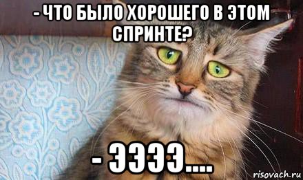 - что было хорошего в этом спринте? - ээээ...., Мем  кот печаль