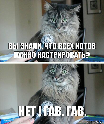 Вы знали, что всех котов нужно кастрировать? Нет ! Гав. гав., Комикс  кот с микрофоном