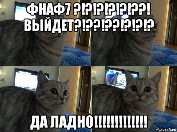 фнаф7 ?!?!?!?!?!??! выйдет?!??!??!?!?!? да ладно!!!!!!!!!!!!!, Мем  Кот в шоке