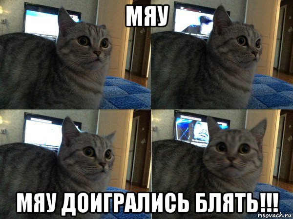 мяу мяу доигрались блять!!!, Мем  Кот в шоке