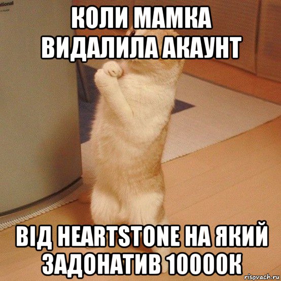 коли мамка видалила акаунт від heartstone на який задонатив 10000к, Мем  котэ молится