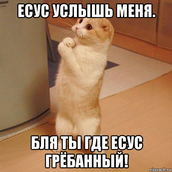 есус услышь меня. бля ты где есус грёбанный!, Мем  котэ молится