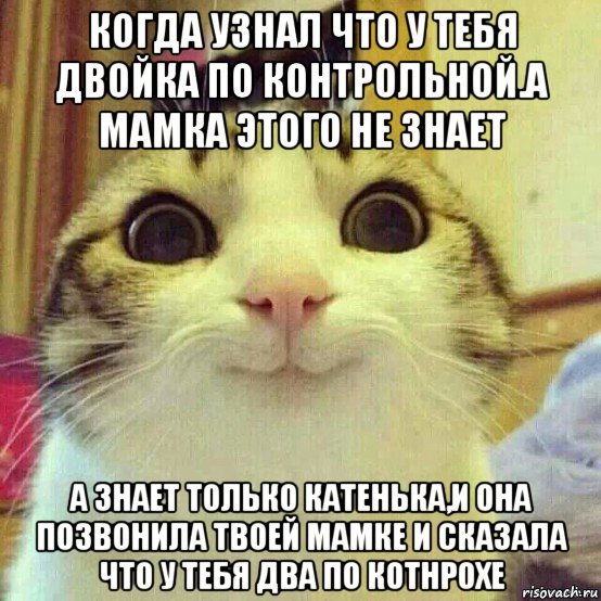 когда узнал что у тебя двойка по контрольной.а мамка этого не знает а знает только катенька,и она позвонила твоей мамке и сказала что у тебя два по котнрохе, Мем       Котяка-улыбака