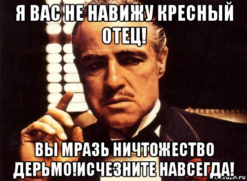 я вас не навижу кресный отец! вы мразь ничтожество дерьмо!исчезните навсегда!, Мем крестный отец