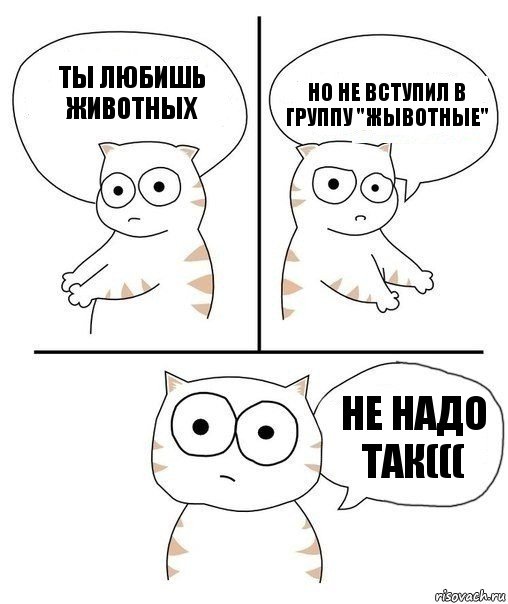 Ты любишь животных Но не вступил в группу "Жывотные" НЕ НАДО ТАК(((, Комикс Не надо так кот