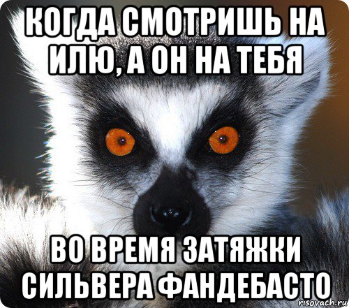 когда смотришь на илю, а он на тебя во время затяжки сильвера фандебасто, Мем лемур