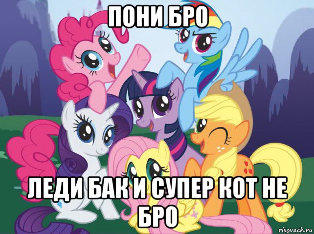 пони бро леди бак и супер кот не бро, Мем My little pony