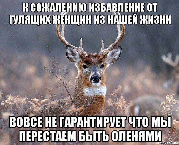 к сожалению избавление от гулящих женщин из нашей жизни вовсе не гарантирует что мы перестаем быть оленями, Мем   Наивный олень