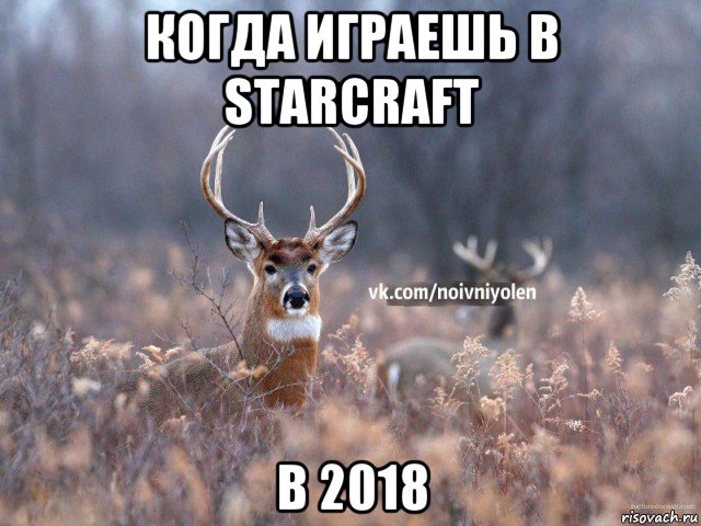 когда играешь в starcraft в 2018