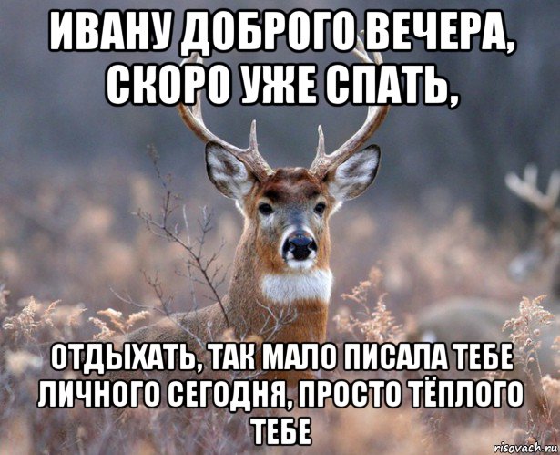 ивану доброго вечера, скоро уже спать, отдыхать, так мало писала тебе личного сегодня, просто тёплого тебе, Мем   Наивный олень