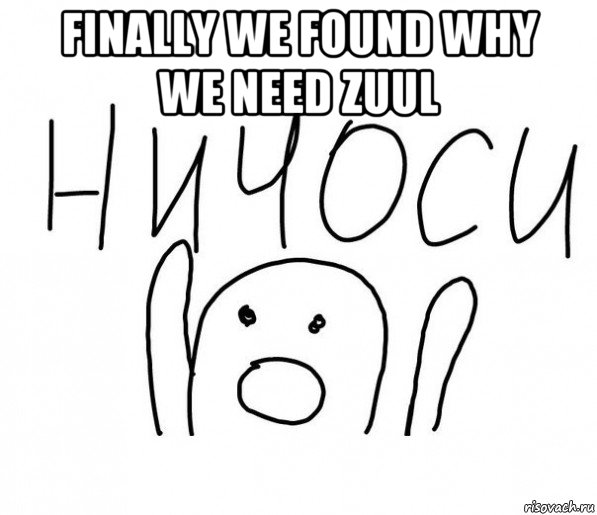 finally we found why we need zuul , Мем  Ничоси