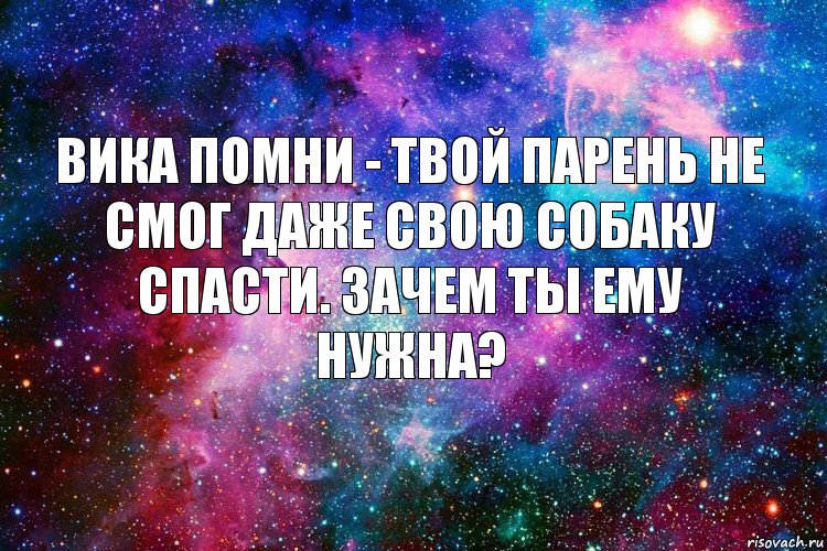 Вика помни - твой парень не смог даже свою собаку спасти. Зачем ты ему нужна?, Комикс новое