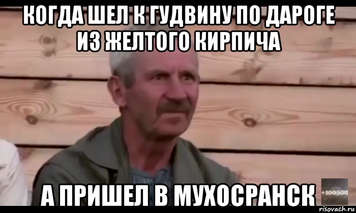 когда шел к гудвину по дароге из желтого кирпича а пришел в мухосранск, Мем  Охуевающий дед