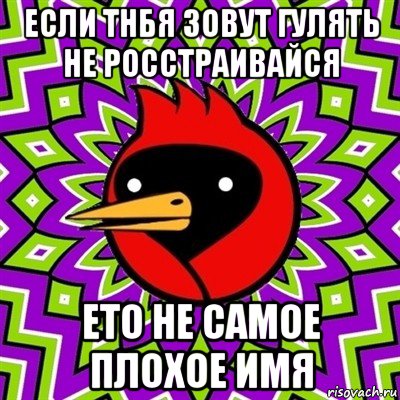 если тнбя зовут гулять не росстраивайся ето не самое плохое имя, Мем Омская птица