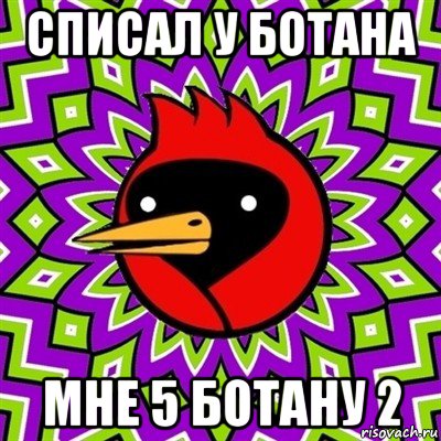 списал у ботана мне 5 ботану 2, Мем Омская птица