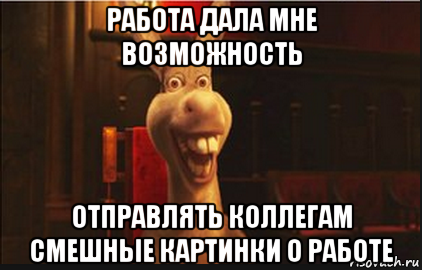 работа дала мне возможность отправлять коллегам смешные картинки о работе, Мем Осел из Шрека