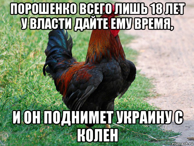 порошенко всего лишь 18 лет у власти дайте ему время, и он поднимет украину с колен