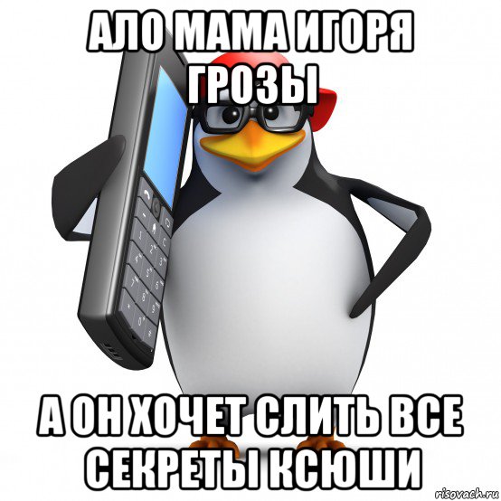 ало мама игоря грозы а он хочет слить все секреты ксюши, Мем   Пингвин звонит