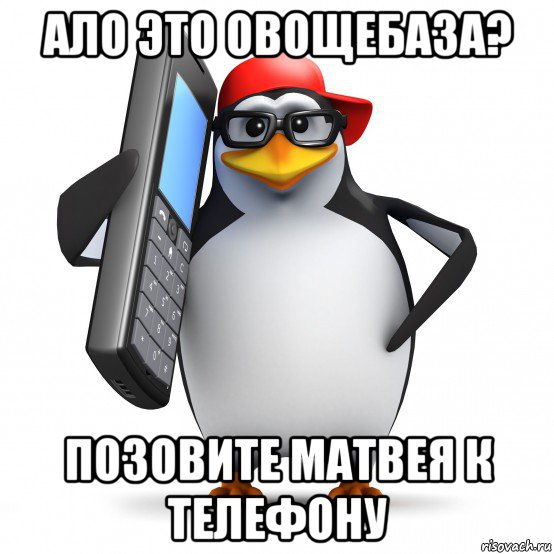 ало это овощебаза? позовите матвея к телефону, Мем   Пингвин звонит