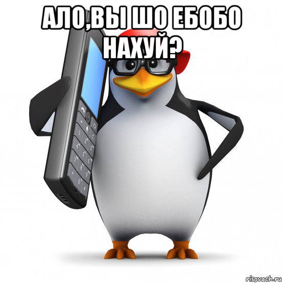 ало,вы шо ебобо нахуй? , Мем   Пингвин звонит