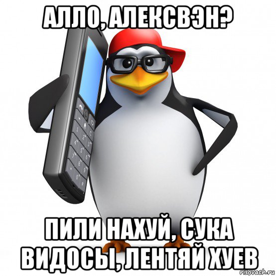 алло, алексвэн? пили нахуй, сука видосы, лентяй хуев, Мем   Пингвин звонит