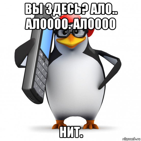 вы здесь? ало.. алоооо. алоооо нит., Мем   Пингвин звонит