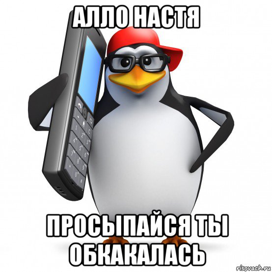 алло настя просыпайся ты обкакалась, Мем   Пингвин звонит