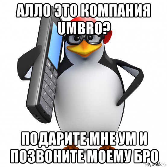 алло это компания umbro? подарите мне ум и позвоните моему бро, Мем   Пингвин звонит