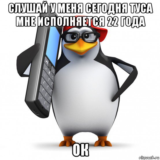 слушай у меня сегодня туса мне исполняется 22 года ок, Мем   Пингвин звонит