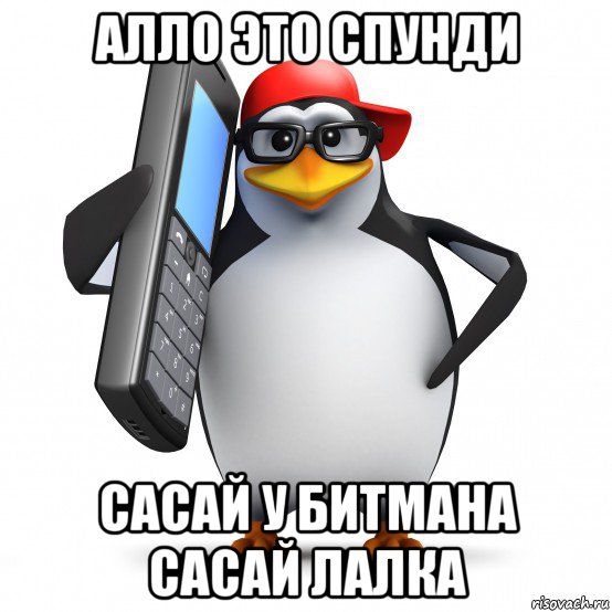 алло это спунди сасай у битмана сасай лалка, Мем   Пингвин звонит