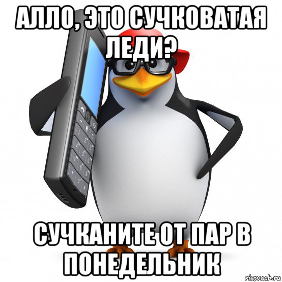 алло, это сучковатая леди? сучканите от пар в понедельник, Мем   Пингвин звонит