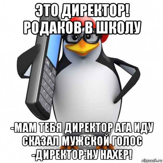 это директор! родаков в школу -мам тебя директор ага иду сказал мужской голос -директор:ну нахер!, Мем   Пингвин звонит