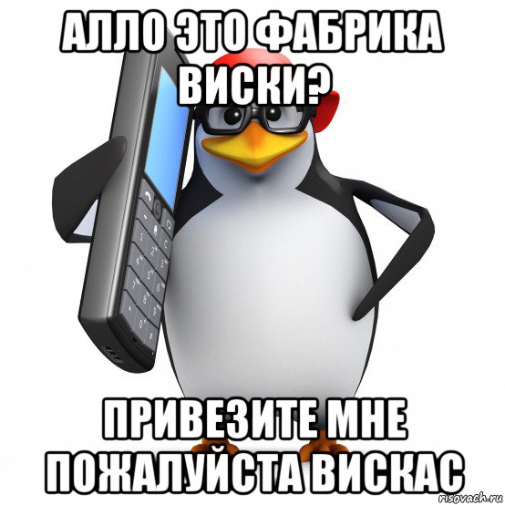 алло это фабрика виски? привезите мне пожалуйста вискас, Мем   Пингвин звонит