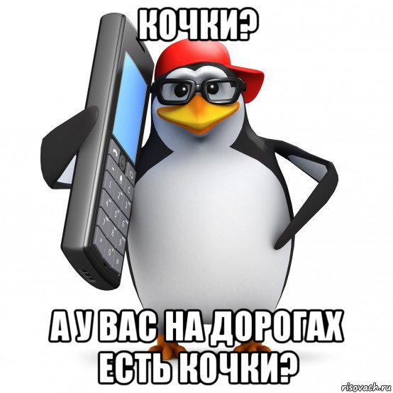 кочки? а у вас на дорогах есть кочки?, Мем   Пингвин звонит