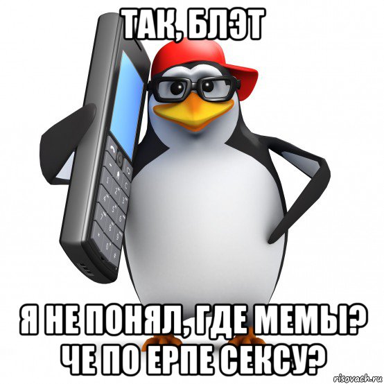 так, блэт я не понял, где мемы? че по ерпе сексу?, Мем   Пингвин звонит