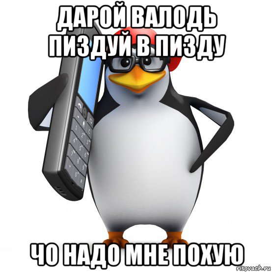 дарой валодь пиздуй в пизду чо надо мне похую, Мем   Пингвин звонит