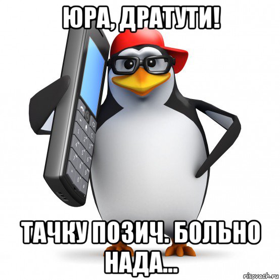 юра, дратути! тачку позич. больно нада..., Мем   Пингвин звонит