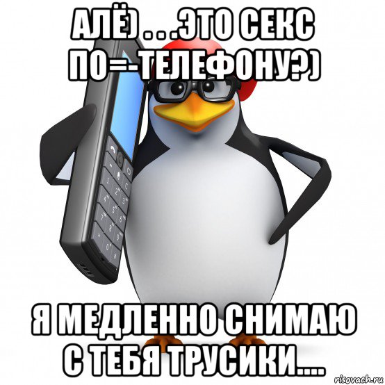 алё) . . .это секс по=-телефону?) я медленно снимаю с тебя трусики...., Мем   Пингвин звонит