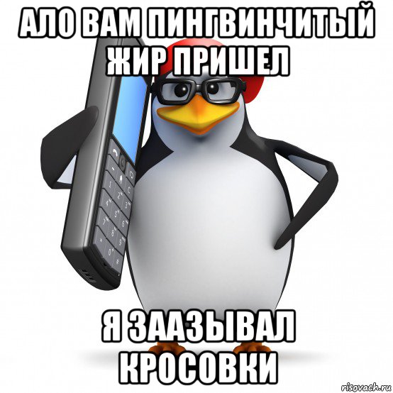 ало вам пингвинчитый жир пришел я заазывал кросовки, Мем   Пингвин звонит