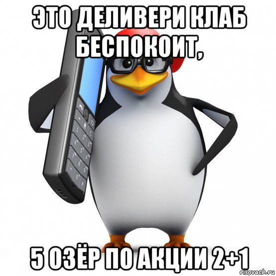 это деливери клаб беспокоит, 5 озёр по акции 2+1, Мем   Пингвин звонит