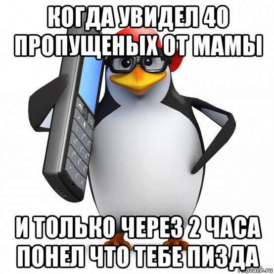 когда увидел 40 пропущеных от мамы и только через 2 часа понел что тебе пизда, Мем   Пингвин звонит