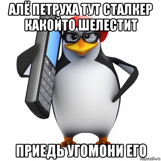 алё петруха тут сталкер какойто шелестит приедь угомони его, Мем   Пингвин звонит