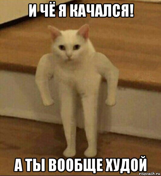 и чё я качался! а ты вообще худой, Мем  Полукот