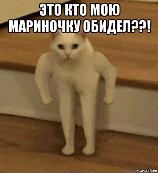 это кто мою мариночку обидел??! , Мем  Полукот