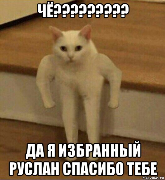 чё????????? да я избранный руслан спасибо тебе, Мем  Полукот