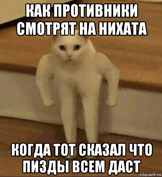 как противники смотрят на нихата когда тот сказал что пизды всем даст, Мем  Полукот