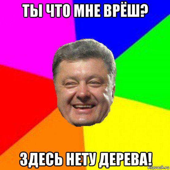 ты что мне врёш? здесь нету дерева!, Мем Порошенко