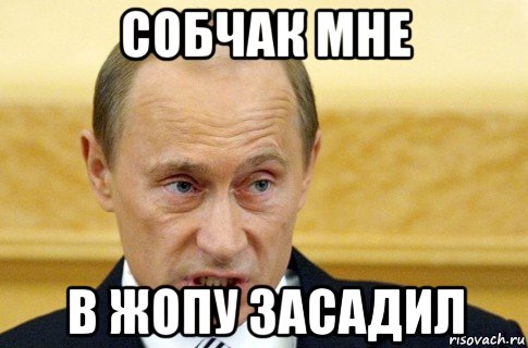 собчак мне в жопу засадил, Мем путин