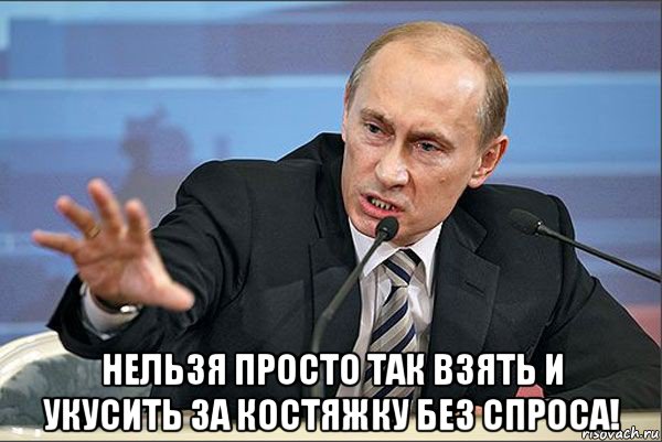  нельзя просто так взять и укусить за костяжку без спроса!, Мем Путин