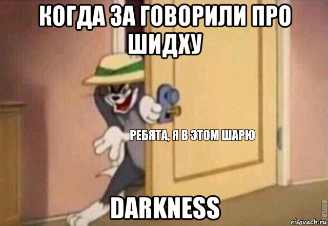 когда за говорили про шидху darkness, Мем    Ребята я в этом шарю